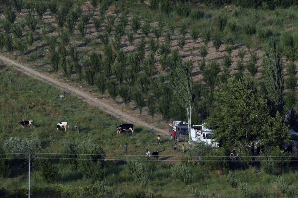 Sirija, Foto: Beta/AP