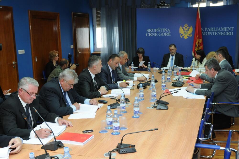 Odbor za politički sitem Čarapić, Foto: Savo Prelević