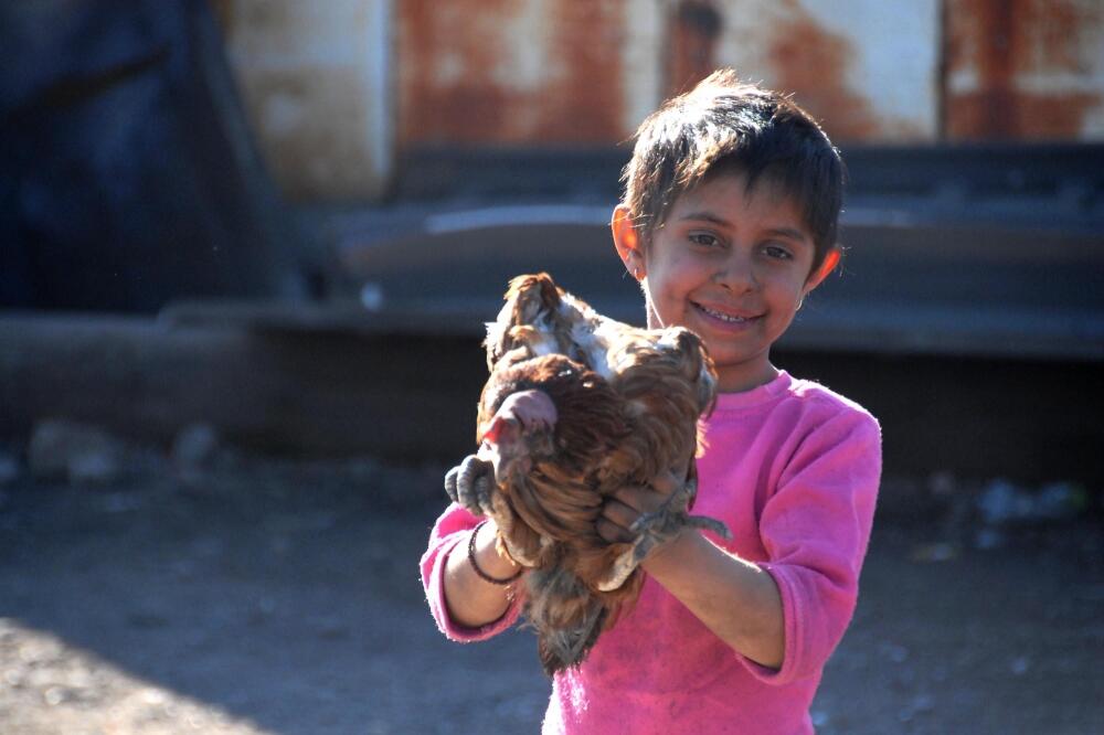 Romi Vrela ribnička, Foto: Vesko Belojević