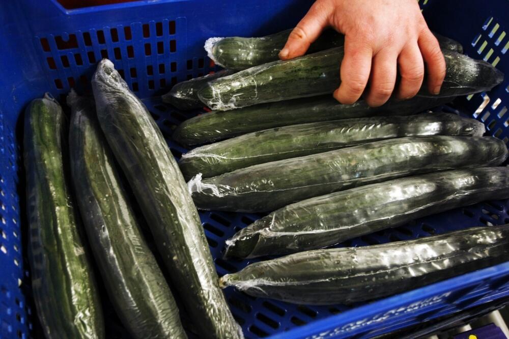 krastavci, Foto: Rojters