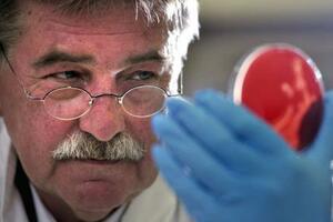 Još dvije žrtve ešerihije u Njemačkoj, krivi paradajz i krastavci