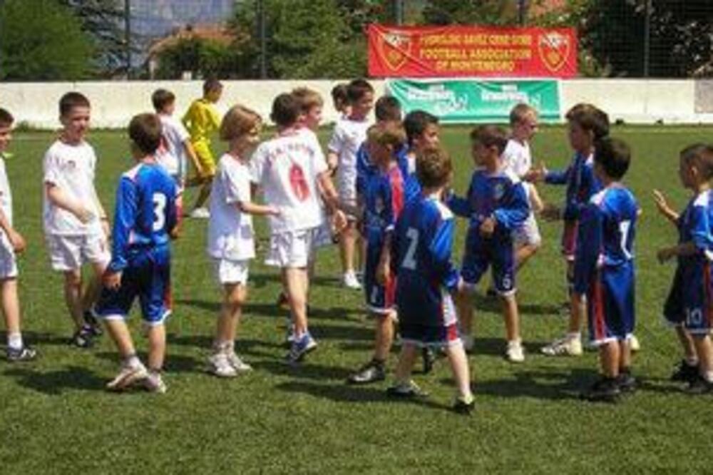 Grasruts, Foto: FSCG