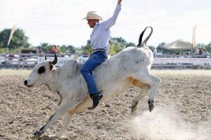 Američki kauboji u Rusiji pomažu obnavljanje stočnog fonda