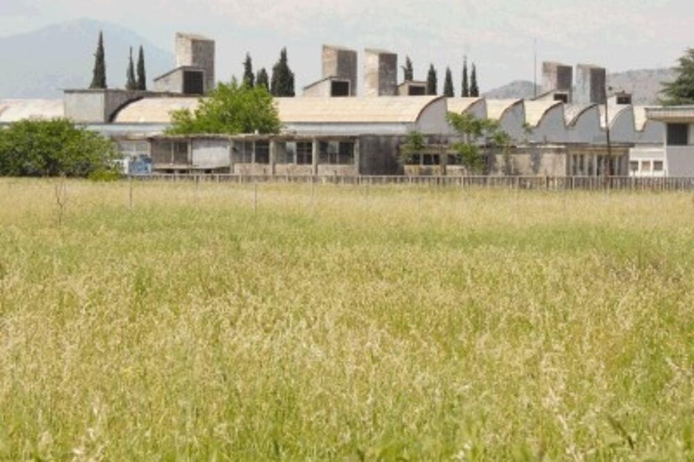 dvoristaž_1, Foto: L.Zeković