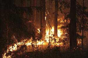 Požar zahvatio 100.000 hektara sibirske šuma