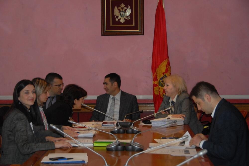 Odbor za ekonomiju, Foto: Vesko Belojević