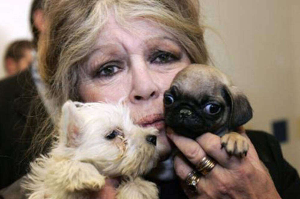 Brižit Bardo, Foto: Web