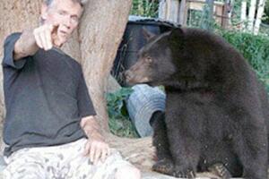 Kanađanin unajmio medvjede kako bi mu čuvali plantažu marihuane