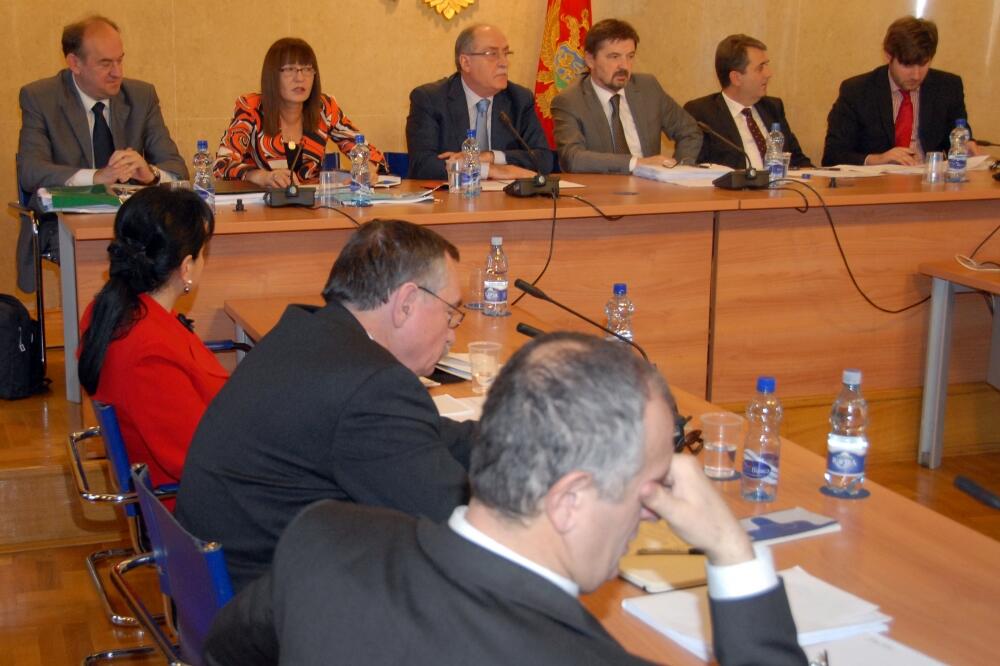 medenica, Foto: Zoran Đurić