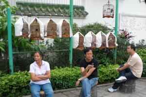 Kinezi umjesto pasa šetaju ptice