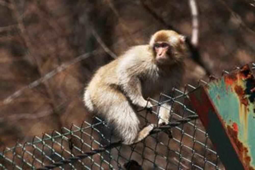 Hong Kong, Foto: Tanjug