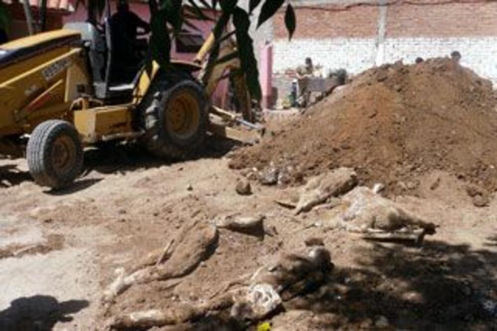 Masovne grobnice u Meksiku, Foto: Tanjug