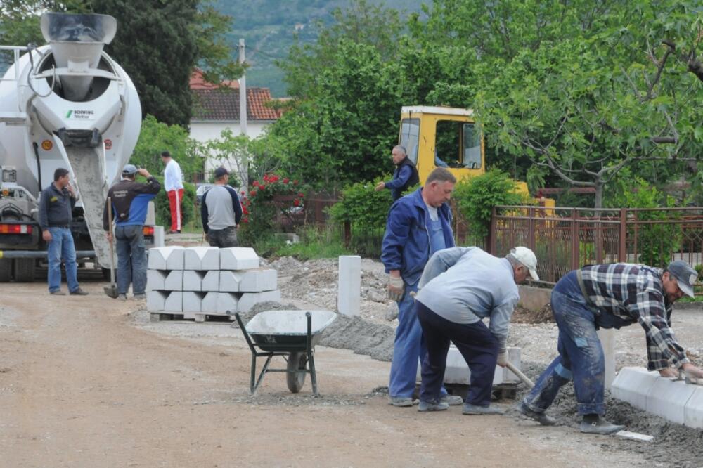 zaobilaznica, Zlatica, Foto: Vesko Belojević