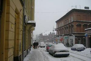 Poljska u maju prekrivena snijegom, hiljade ljudi bez struje
