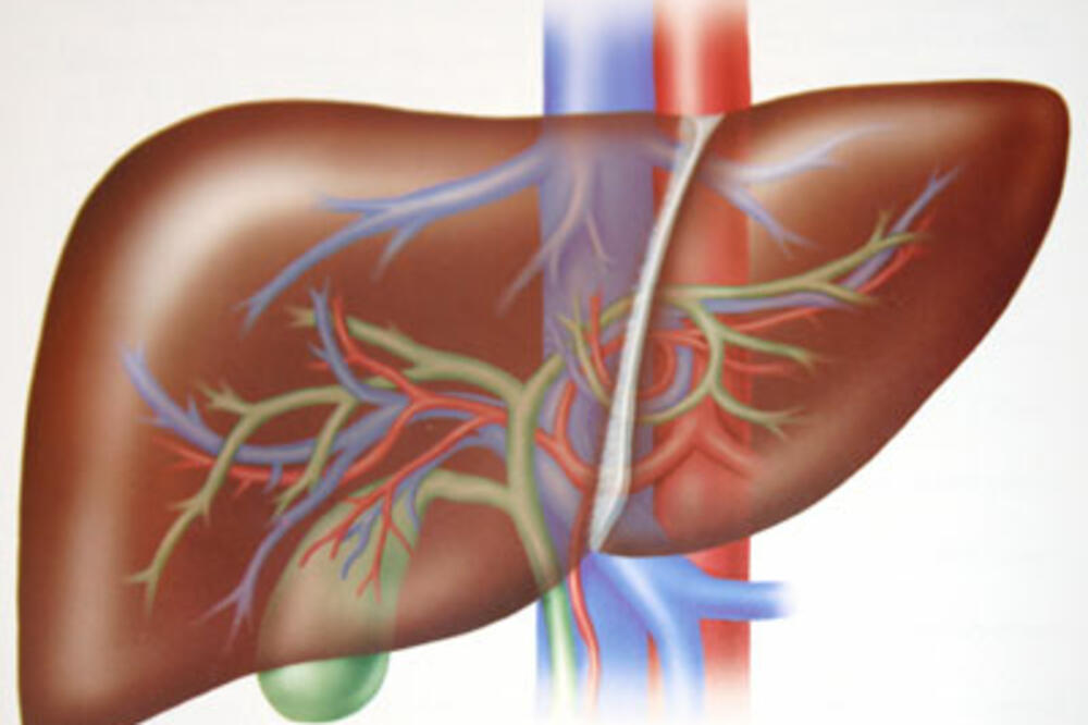 jetra, Foto: Rontsidebus.net