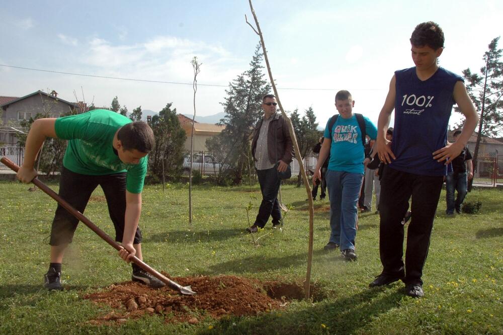 pošumljavanje, Foto: Luka Zeković