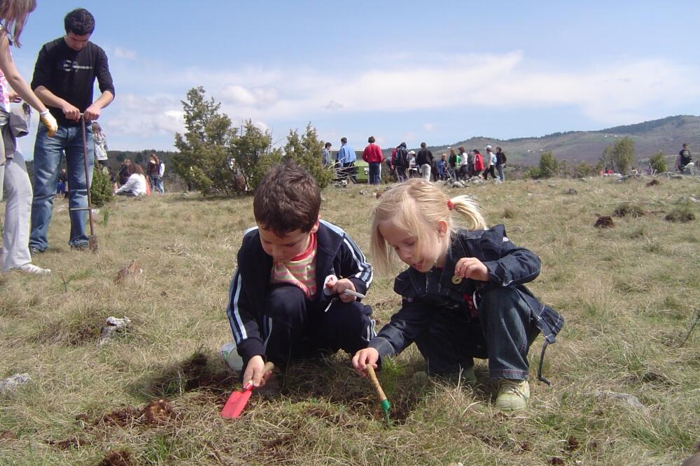 sadnice, Foto: Arhiva Vijesti