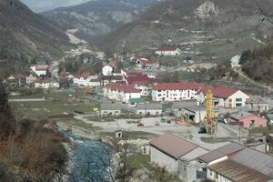 U Nikšiću, Šavniku i Plužinama deset porodica dobilo kravu