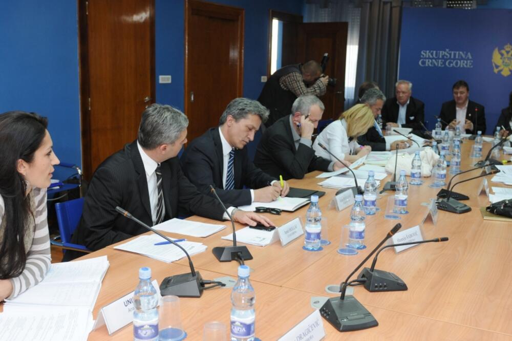 Odbor za ljudska pitanja, Foto: Savo Prelević