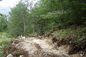 Milošević: Opštinari će pomagati inspektorima za šume