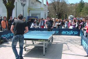 "NATO karavan" na Cetinju