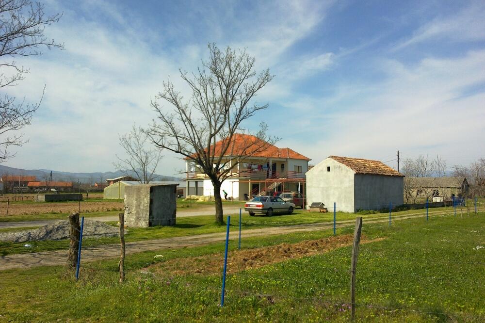 rok livade, Foto: Vladimir Otašević