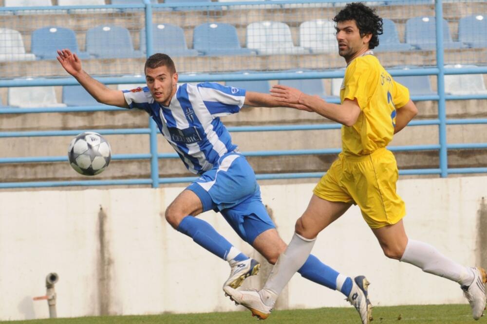 golub, Foto: S.PRELEVIĆ