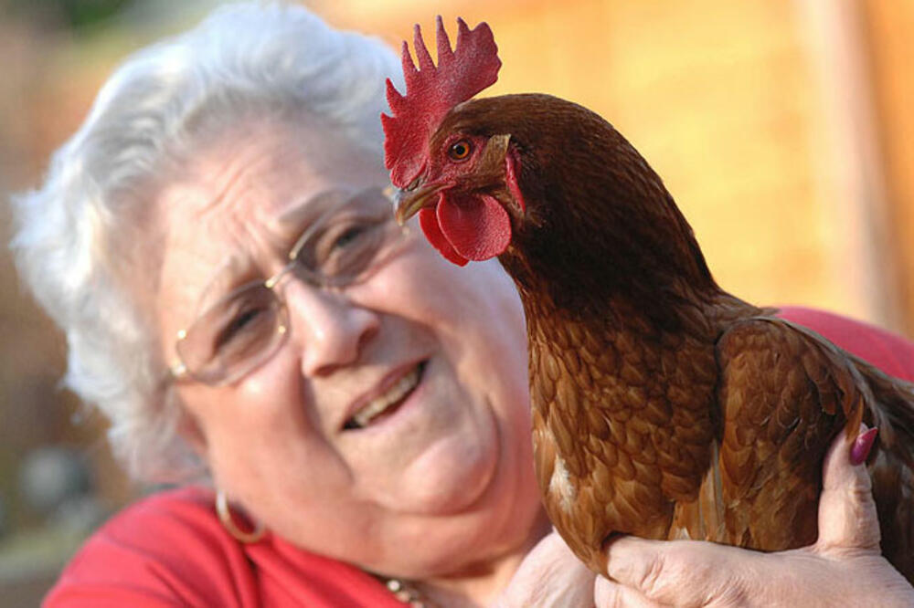 koka Gerti, Foto: Thesun.co.uk