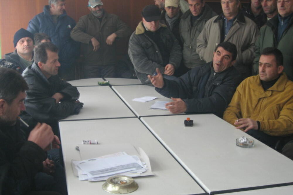 nova beranka, Foto: Rabrenović