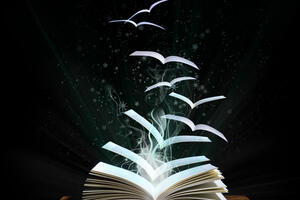 Izabrana knjiga sa najneobičnijim naslovom