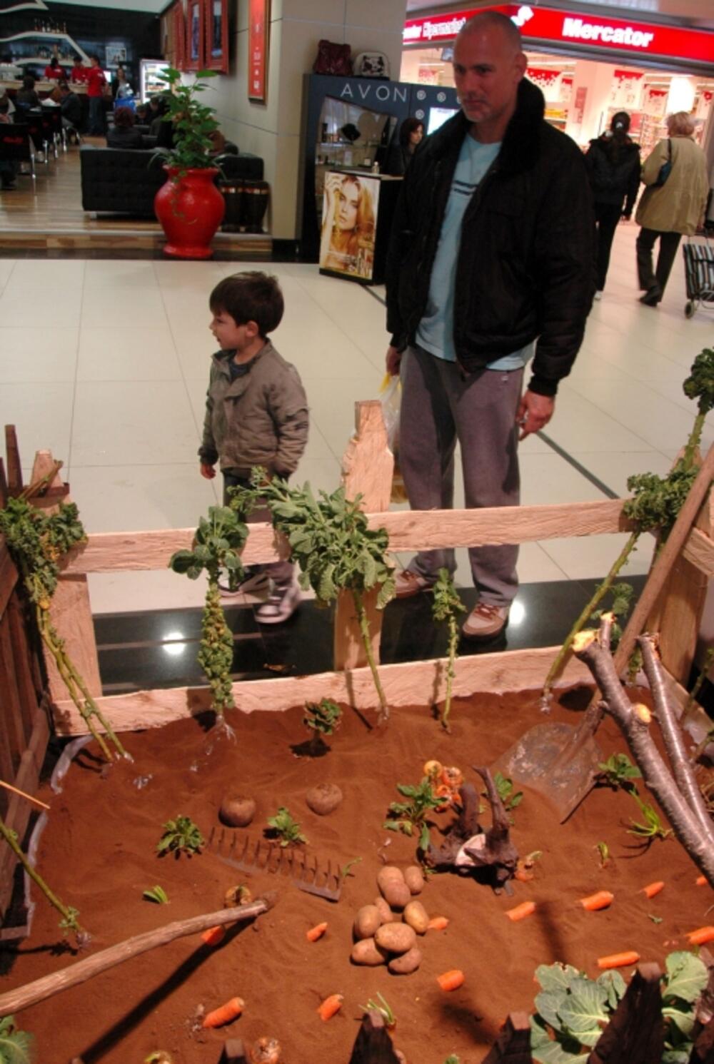 Sajam hrane, Gintaš