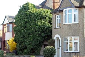 Zbog bršljana agenti spustili cijenu kuće