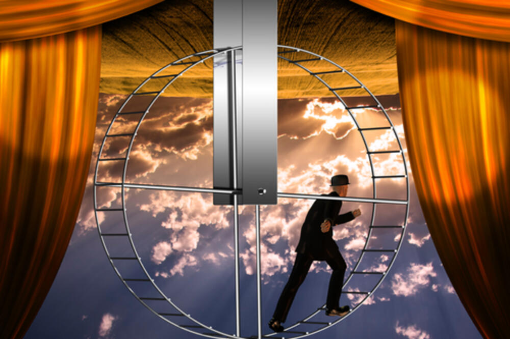 hrčak, Foto: Shutterstock.com