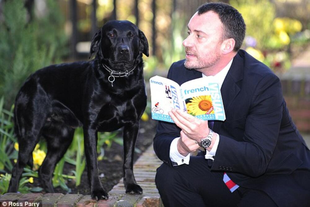 Henri, Foto: Daily Mail