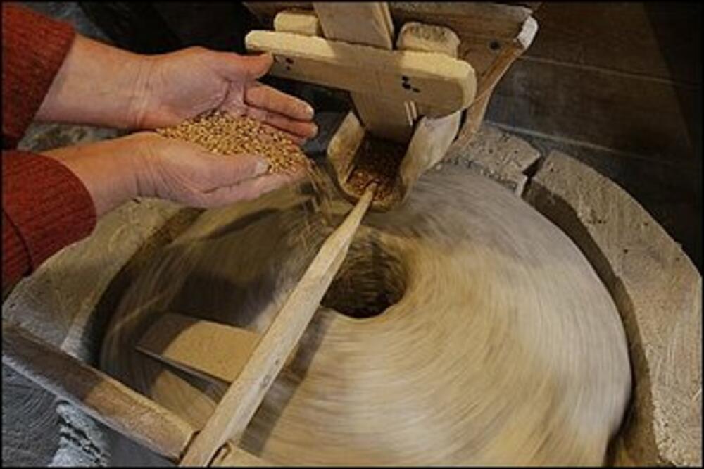 pšenica, Foto: Washington post