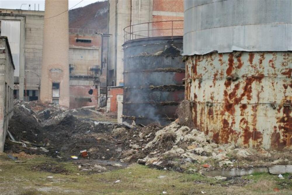 celuloza, Foto: Romana Lalić