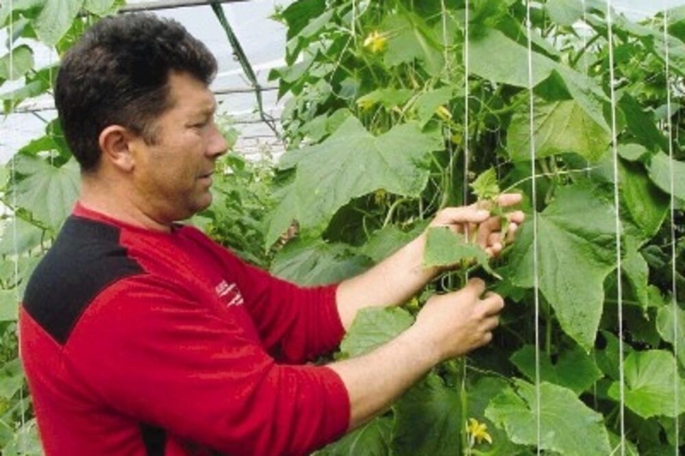 poljoprivrednici_1, Foto: Arhiva &ldquo;Vijesti&rdquo;