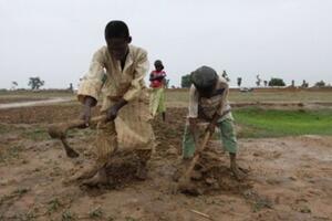 U Nigeriji najmanje 400 djece rudara umrlo u protekloj godini