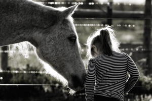 Roditelji u Hrvatskoj dali kćerku za konja i 400 eura