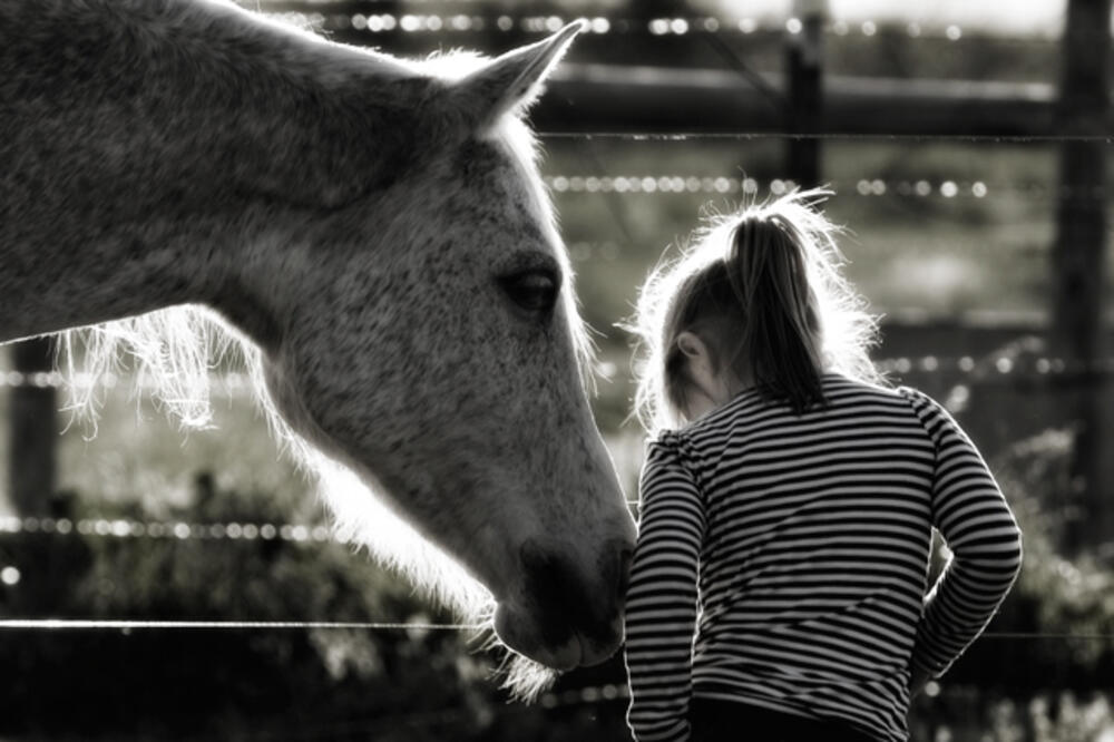 konj i dijete, Foto: Pixdaus