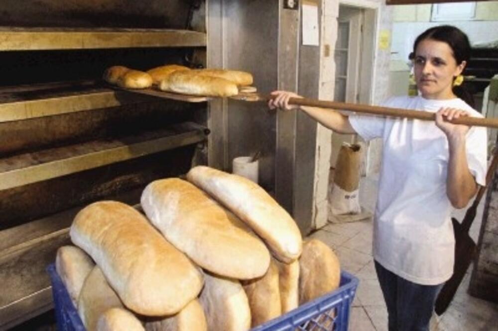 pekari nk_1, Foto: Arhiva “Vijesti”