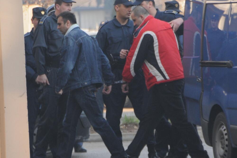 golubovi, Foto: Savo Prelević