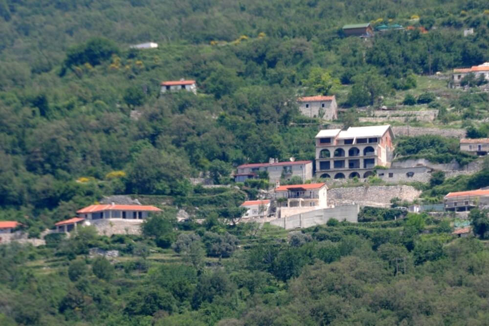 Lapčići, Foto: Boris Pejović