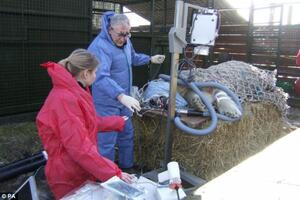 I polarni medvjed ide kod zubara