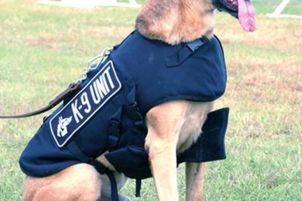 policijski pas, Foto: Wikipedia