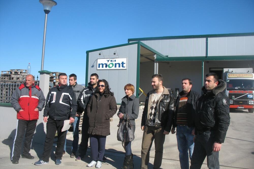 Tei Mont, Foto: Svetlana Mandić