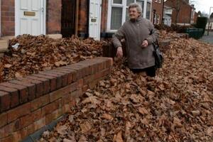 Baku zatrpala gomila lišća