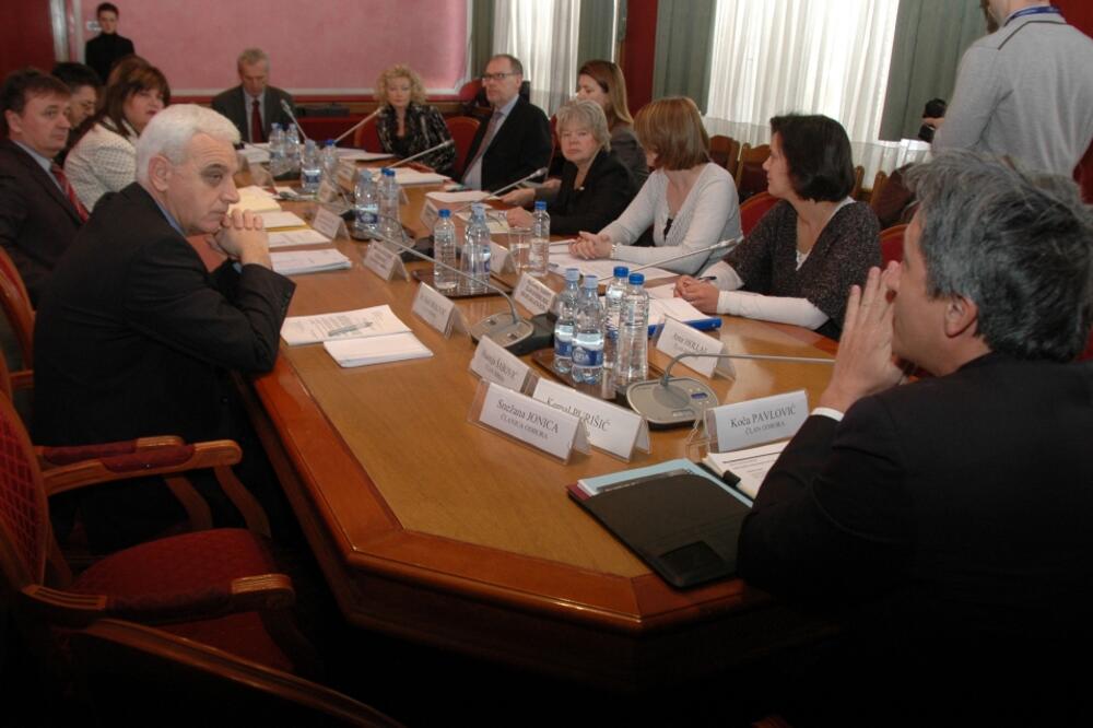 Odbor za ljudska prava, Foto: Luka Zeković