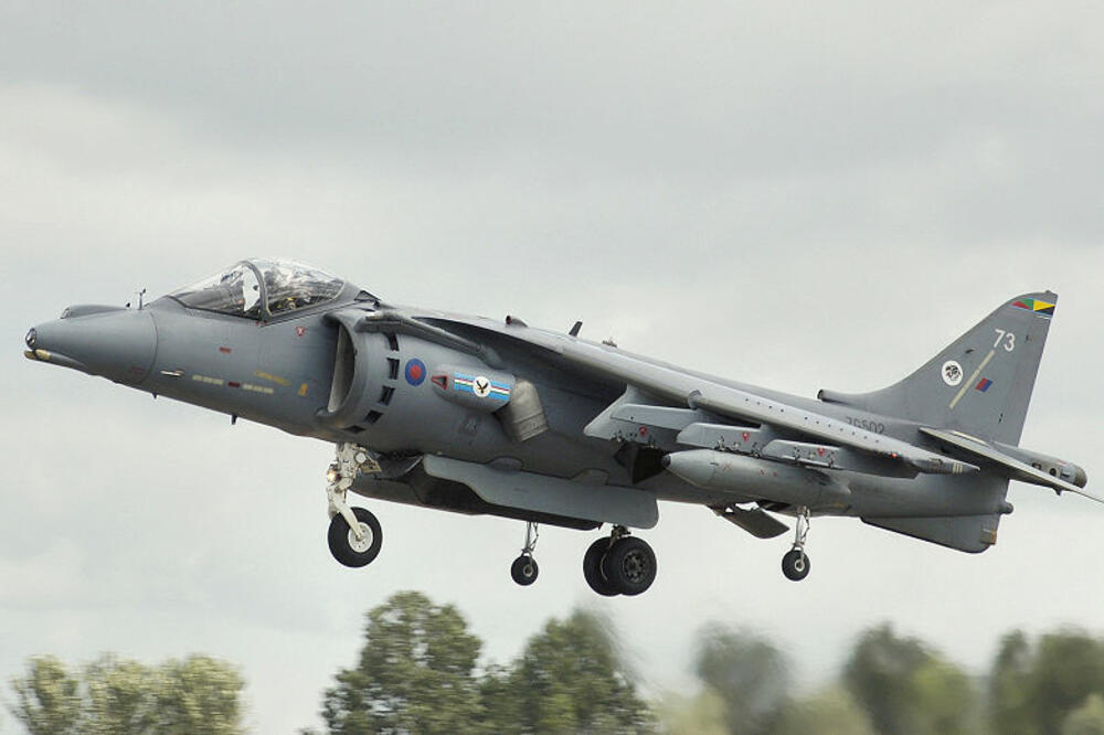 Harrier, Foto: Wikipedia
