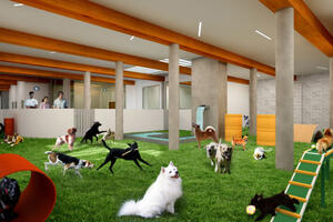 Na Menhetnu otvoren noćni klub za pse